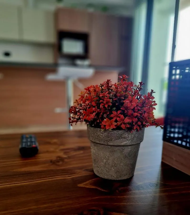 Mendoza Chill Apartment